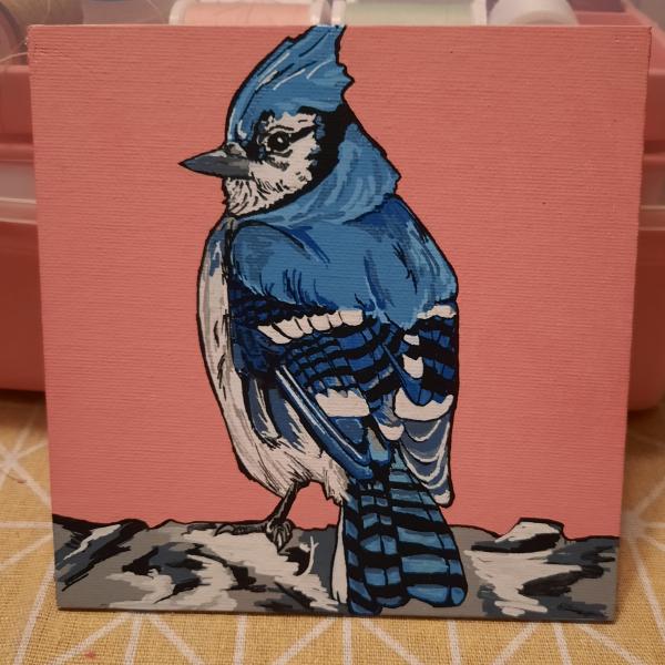 Blue Jay